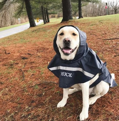 Charles River New Englander Doggie Rain Jacket